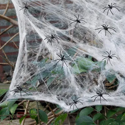 Stretchable Fake Spider Web Decoration Stretchable Fake Spider Web Decoration