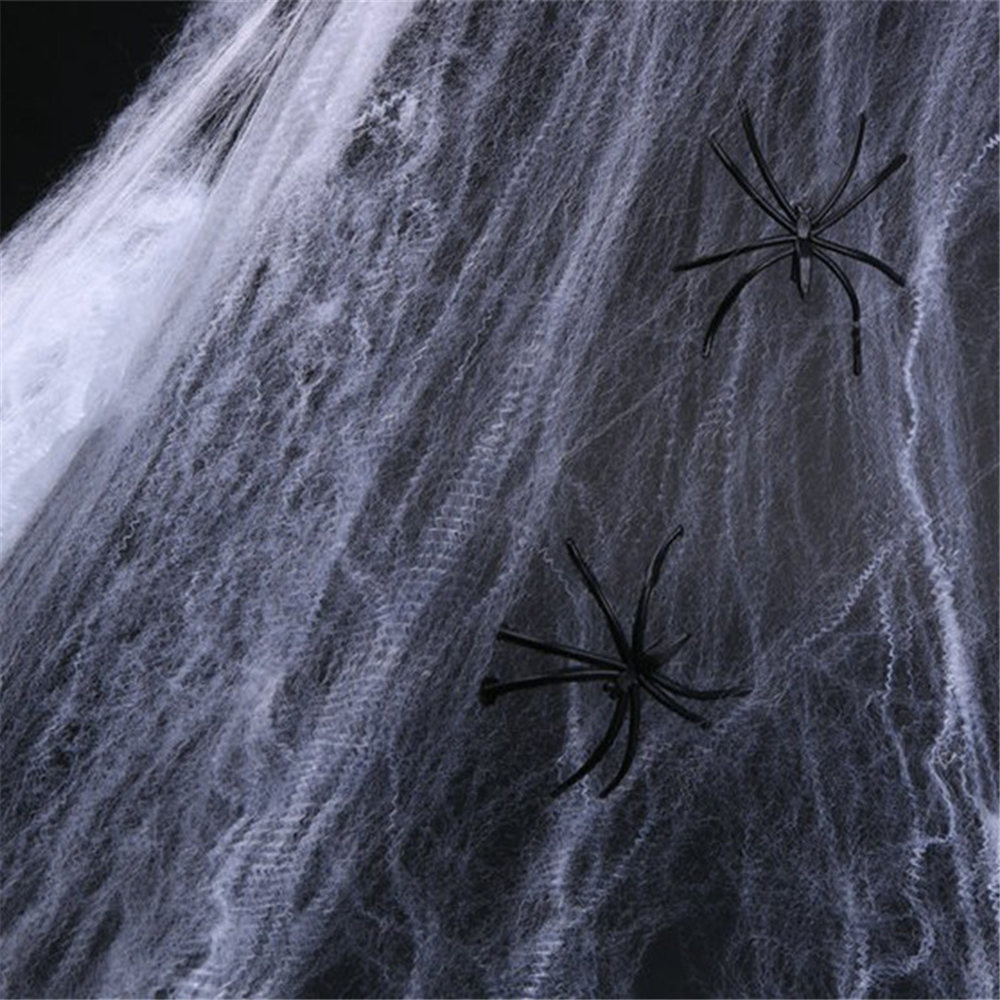 Stretchable Fake Spider Web Decoration Stretchable Fake Spider Web Decoration
