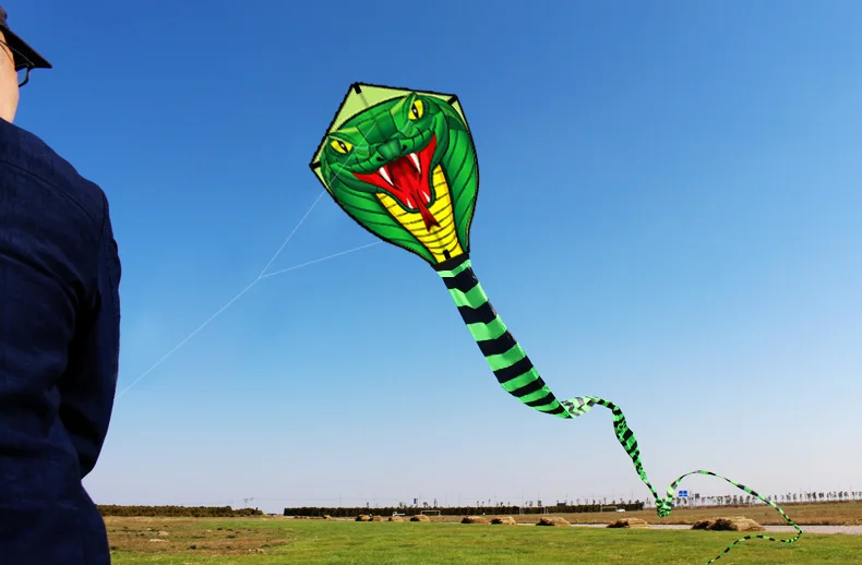 Strong Snake With Long Colorful Tail Huge Beginner Snake Kites for Kids And Adults Come With String And Handle Strong Snake With Long Colorful Tail Huge Beginner Snake Kites for Kids And Adults Come With String And Handle