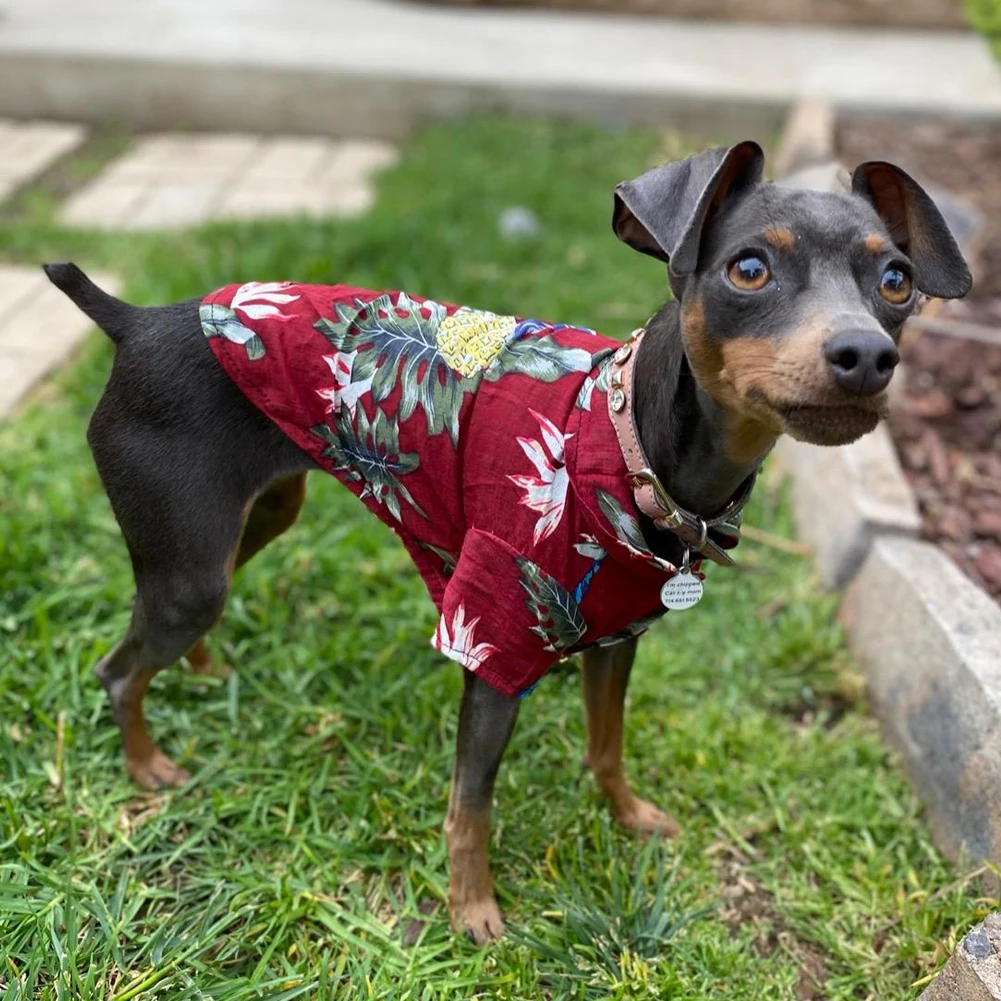 Stylish Summer Print Design Dog Aloha Shirt