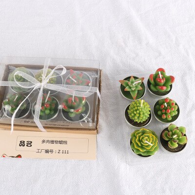 Succulent Candles Set (6pcs) Succulent Candles Set (6pcs)