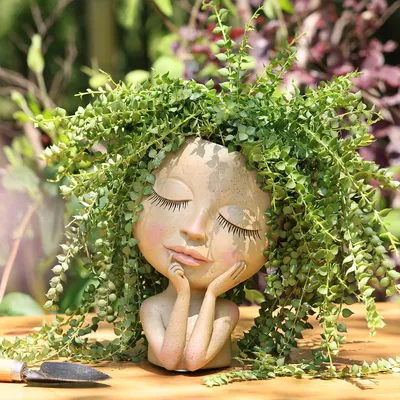 Succulent Face Flower Pot Head Planter Succulent Face Flower Pot Head Planter
