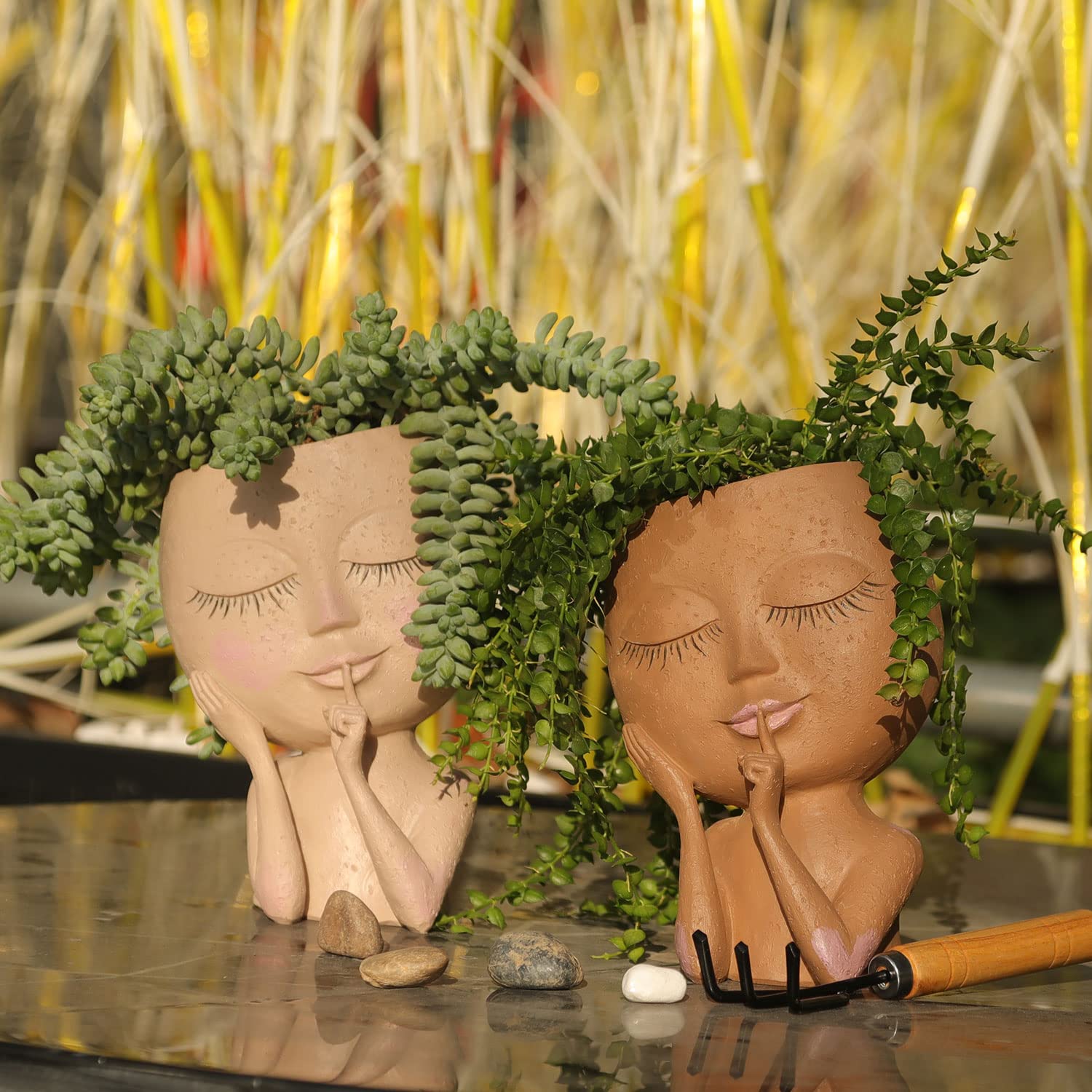Succulent Face Flower Pot Head Planter Succulent Face Flower Pot Head Planter