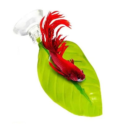 Suction Aquarium Betta Leaf Hammock Suction Aquarium Betta Leaf Hammock