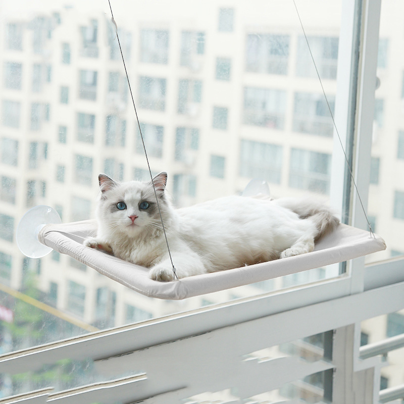 Suction Cup Window Ledge Cat Bed Suction Cup Window Ledge Cat Bed