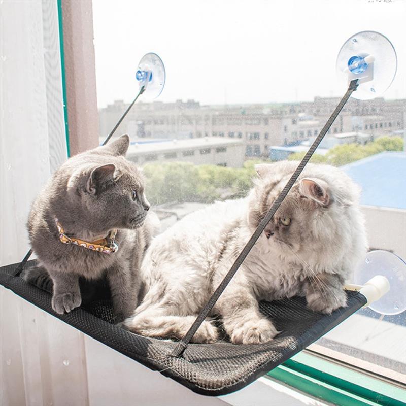 Suction Mount Window Cat Hammock Suction Mount Window Cat Hammock