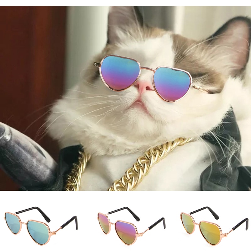 Sunglass for Cats Pet Accessory Sunglass for Cats Pet Accessory
