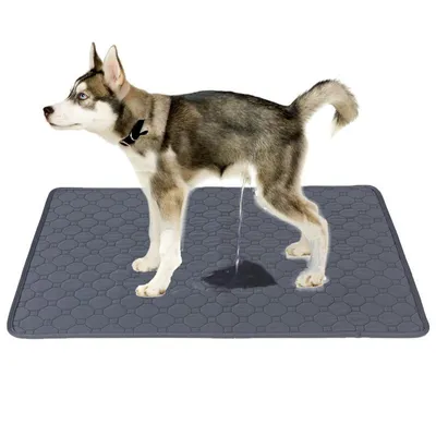 Super Absorbent Dog Pee Blanket Super Absorbent Dog Pee Blanket