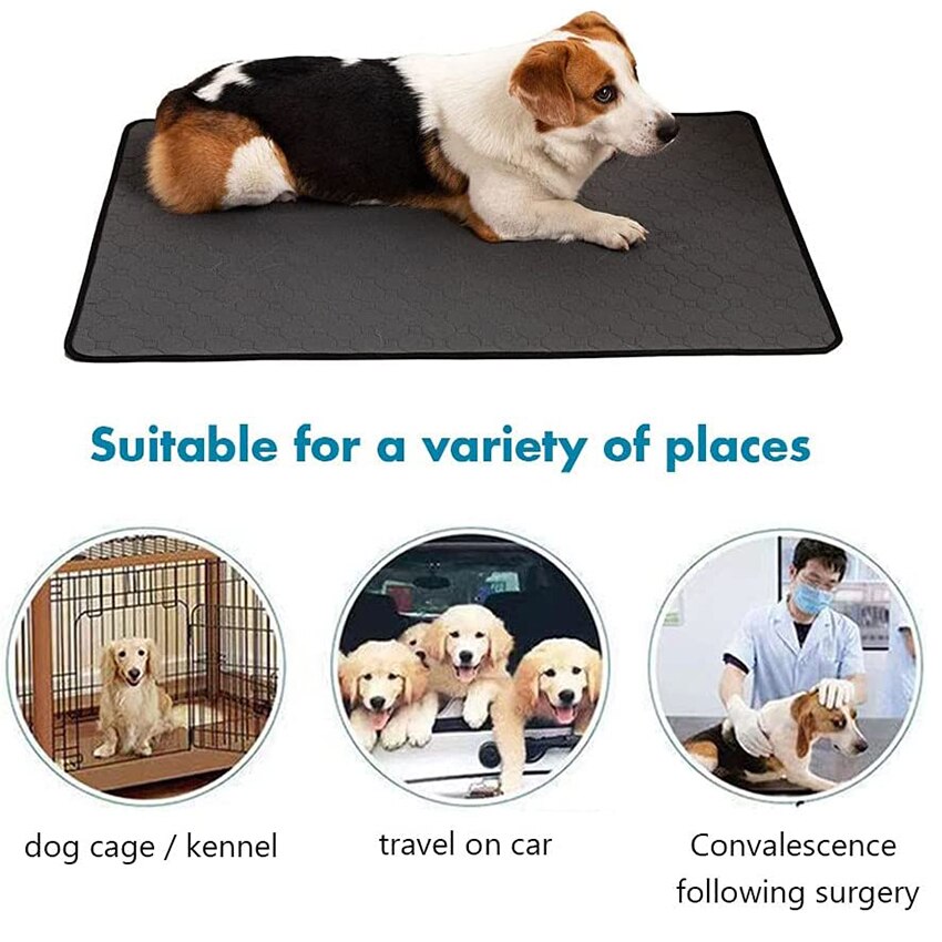 Super Absorbent Washable Dog Pee Pad Super Absorbent Washable Dog Pee Pad