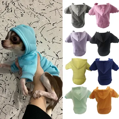 Sweatshirt for Dogs with Pocket and Hoodie
