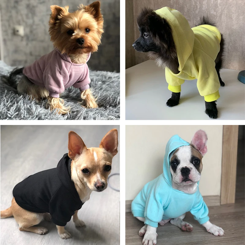 Sweatshirt for Dogs with Pocket and Hoodie