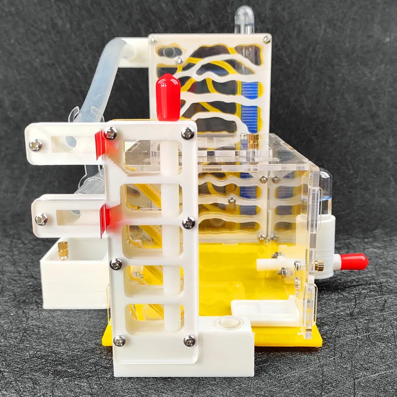 T Design DIY Ant Farm with Feeding Area Acryl Ant Nest Insect Ant House Villa Anthill Pet Workshop Mania for House Ant T Design DIY Ant Farm with Feeding Area Acryl Ant Nest Insect Ant House Villa Anthill Pet Workshop Mania for House Ant