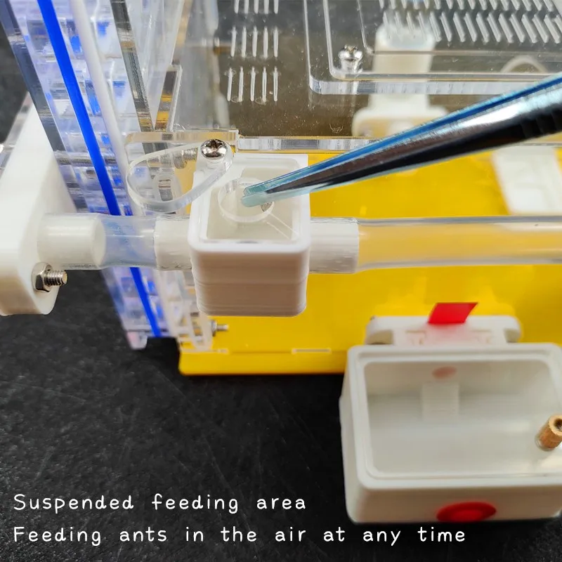 T Design DIY Ant Farm with Feeding Area Acryl Ant Nest Insect Ant House Villa Anthill Pet Workshop Mania for House Ant T Design DIY Ant Farm with Feeding Area Acryl Ant Nest Insect Ant House Villa Anthill Pet Workshop Mania for House Ant