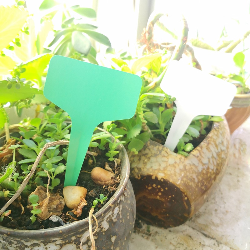 T Type Plant Name Tags (25/50/100Pcs)