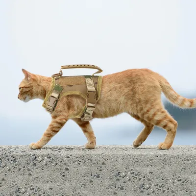 Tactical Cat Harness Vest Leash For Small Dog Adjustable Kitten K9 Vest With Patch For Military Service Dog Working