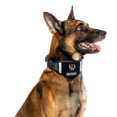 Tactical Dog Collar With Patch Space Tactical Dog Collar With Patch Space
