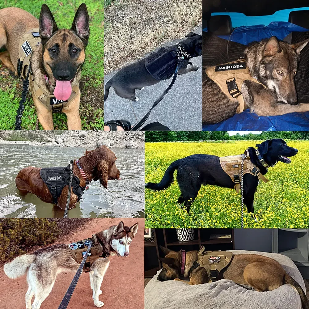 Tactical Dog Harness Leash Collar Molle Pouches for Medium Large Dogs Training Military Pet Vest Adjustable Service Dog Tactical Dog Harness Leash Collar Molle Pouches for Medium Large Dogs Training Military Pet Vest Adjustable Service Dog