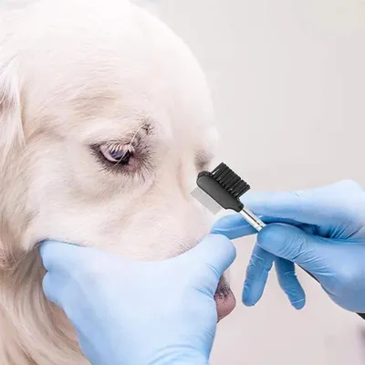 Tear Stain Remover Comb for Cats and Dogs