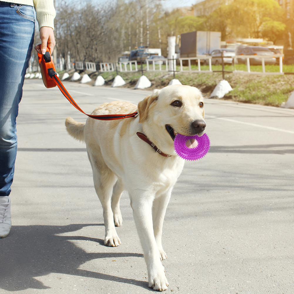 Teeth Cleaning Dog Chew Ring Squeeze Toy