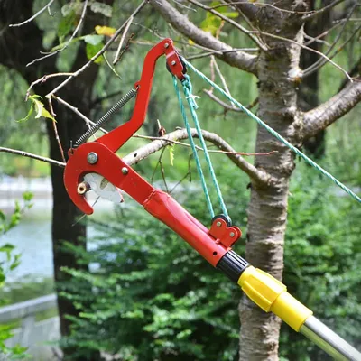 Telescopic High-altitude Scissors Fruit Picker High-altitude Cutting Branches High-altitude Pruning Branches Garden Telescopic High-altitude Scissors Fruit Picker High-altitude Cutting Branches High-altitude Pruning Branches Garden