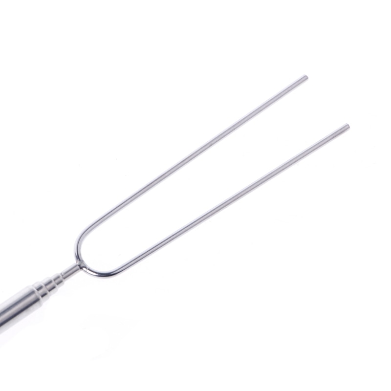 Telescopic Marshmallow Roasting Stick