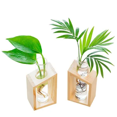 Test Tube Vase Glass Plant Holder Test Tube Vase Glass Plant Holder