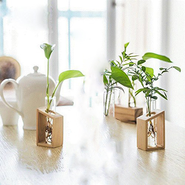 Test Tube Vase Glass Plant Holder Test Tube Vase Glass Plant Holder
