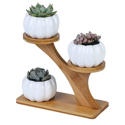 Three Slot Wooden Succulent Rack