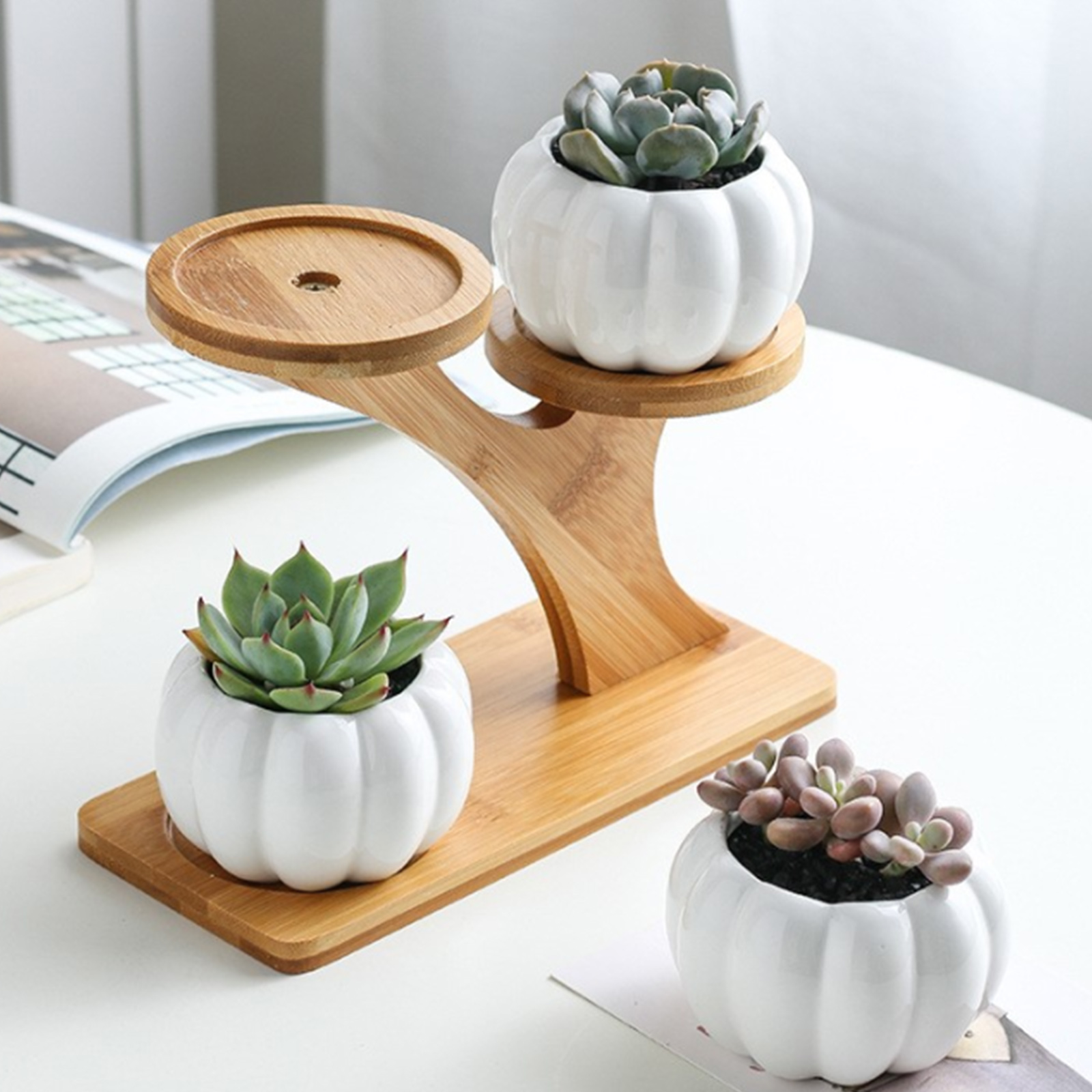 Three Slot Wooden Succulent Rack