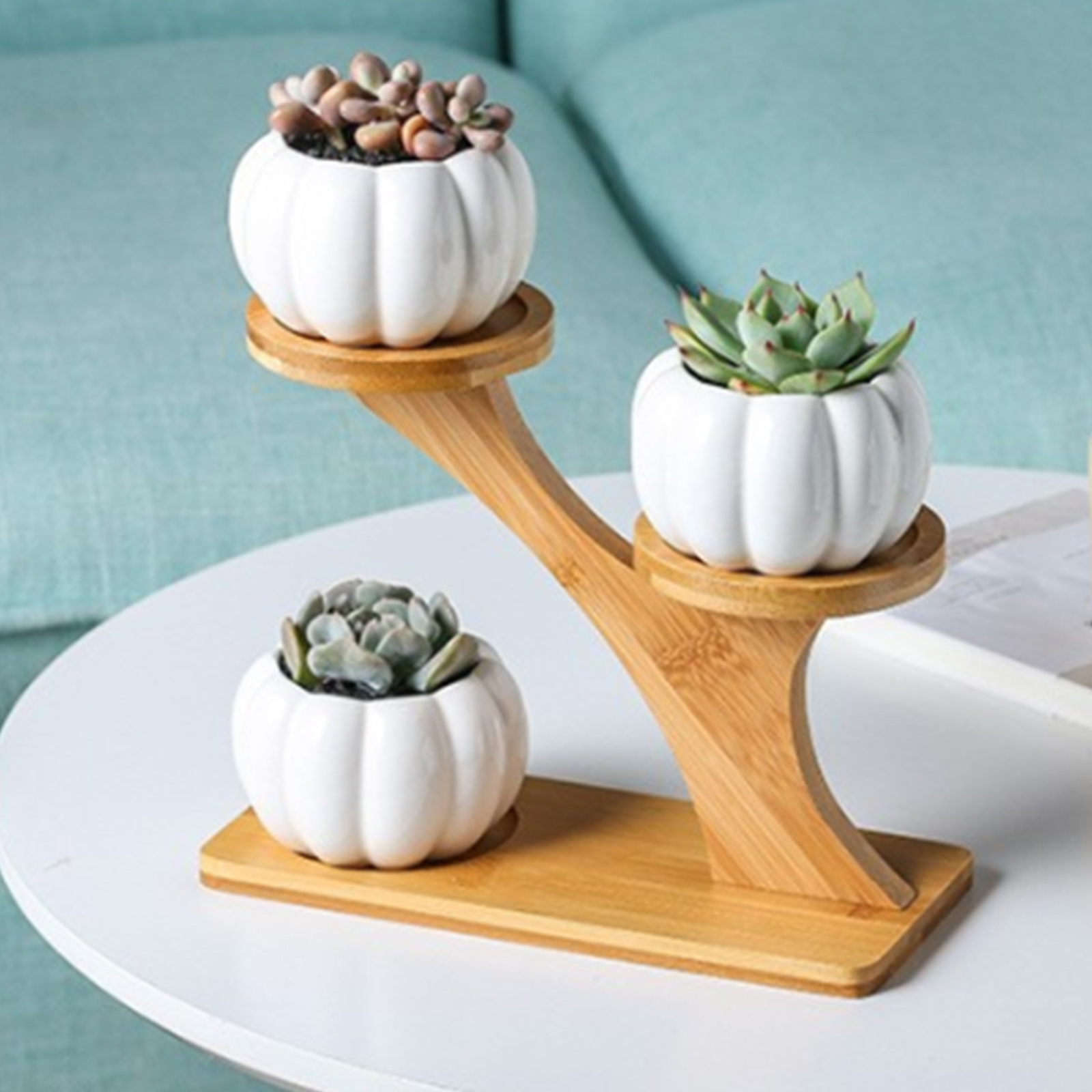 Three Slot Wooden Succulent Rack
