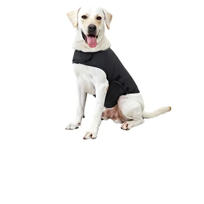 Thundershirt for Dogs Anxiety Wrap Thundershirt for Dogs Anxiety Wrap