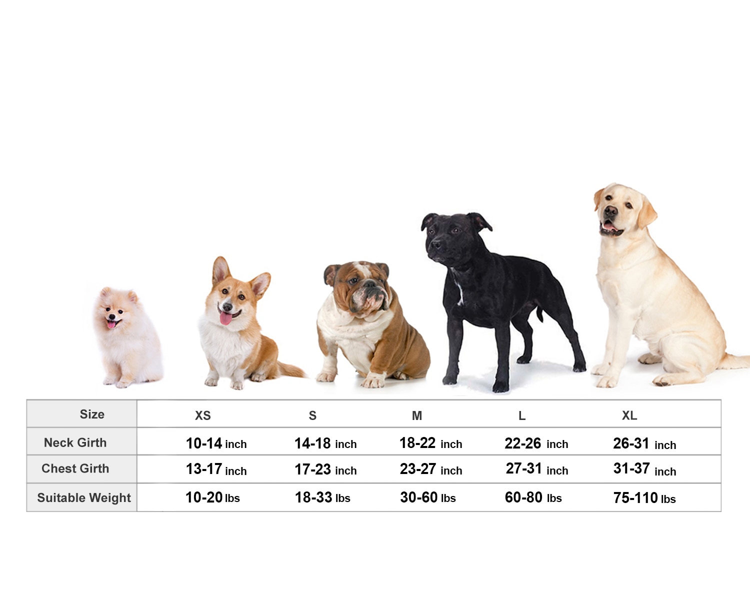 Thundershirt for Dogs Anxiety Wrap Thundershirt for Dogs Anxiety Wrap