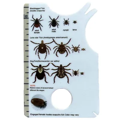 Tick Removal Card with Magnifying Glass Tick Removal Card with Magnifying Glass