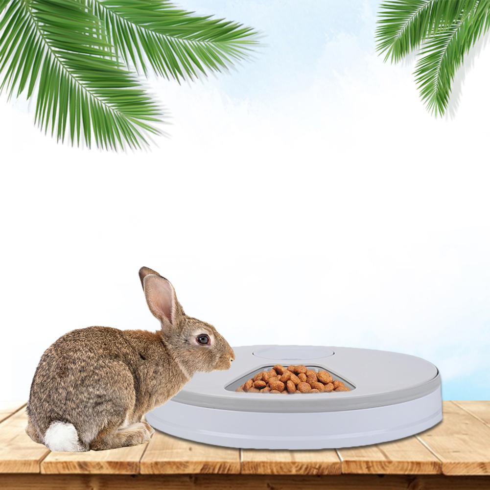 Timed Dog Feeder 6-Grid Food Tray Timed Dog Feeder 6-Grid Food Tray
