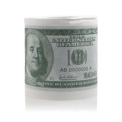 Toilet Paper Money Roll Funny 2Ply Tissue