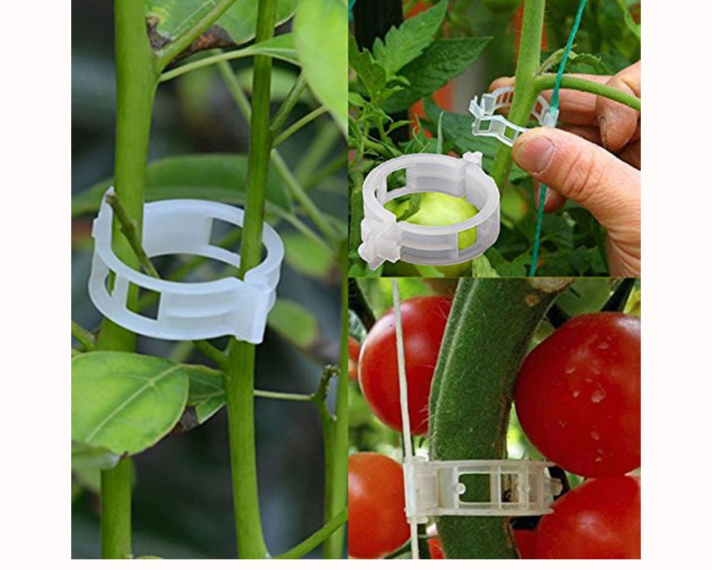Tomato Clips Gardening Support Clamps (100 pcs) Tomato Clips Gardening Support Clamps (100 pcs)