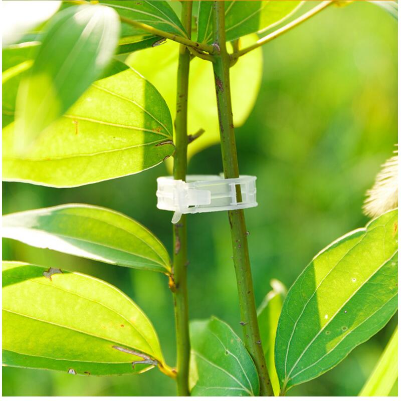 Tomato Clips Gardening Support Clamps (100 pcs)