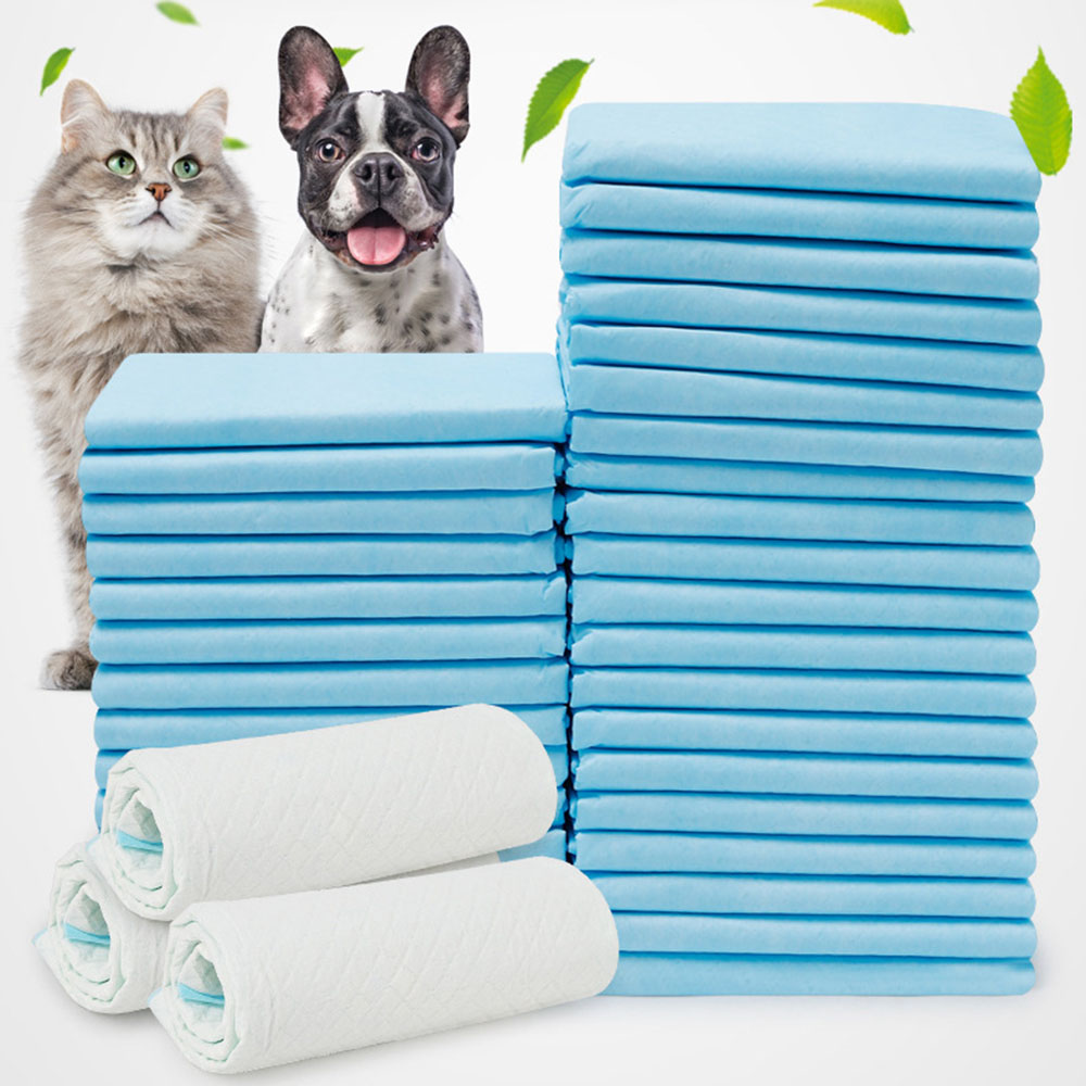 Training Pet Pee Pads (10 Pcs)