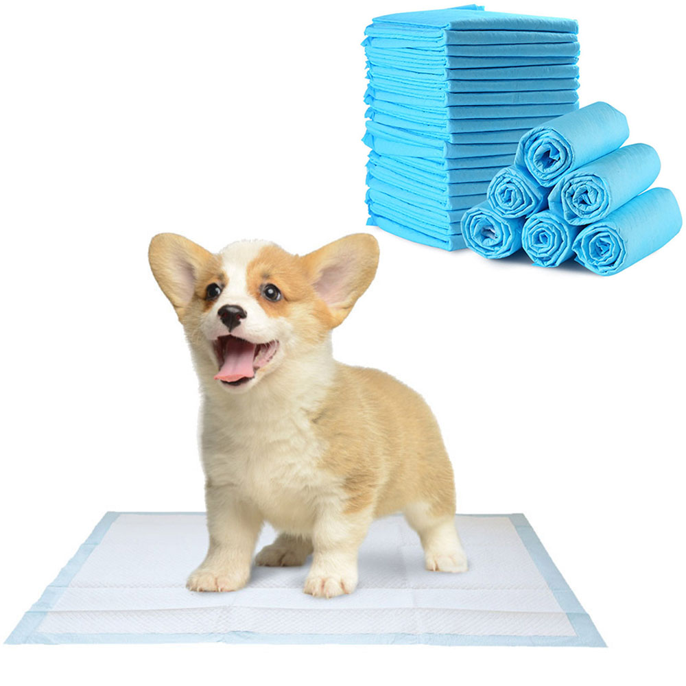 Training Pet Pee Pads (10 Pcs)