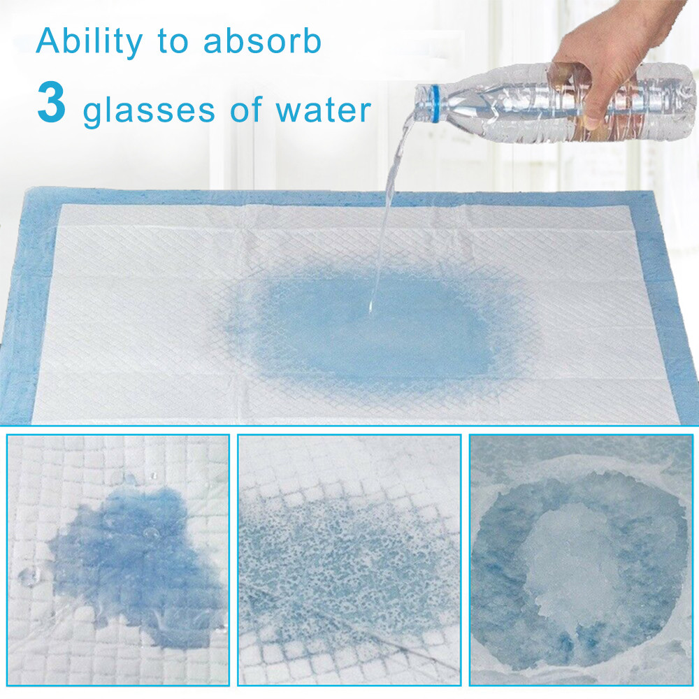 Training Pet Pee Pads (10 Pcs)