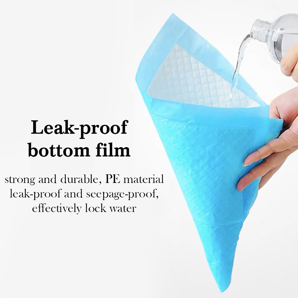 Training Pet Pee Pads (10 Pcs)