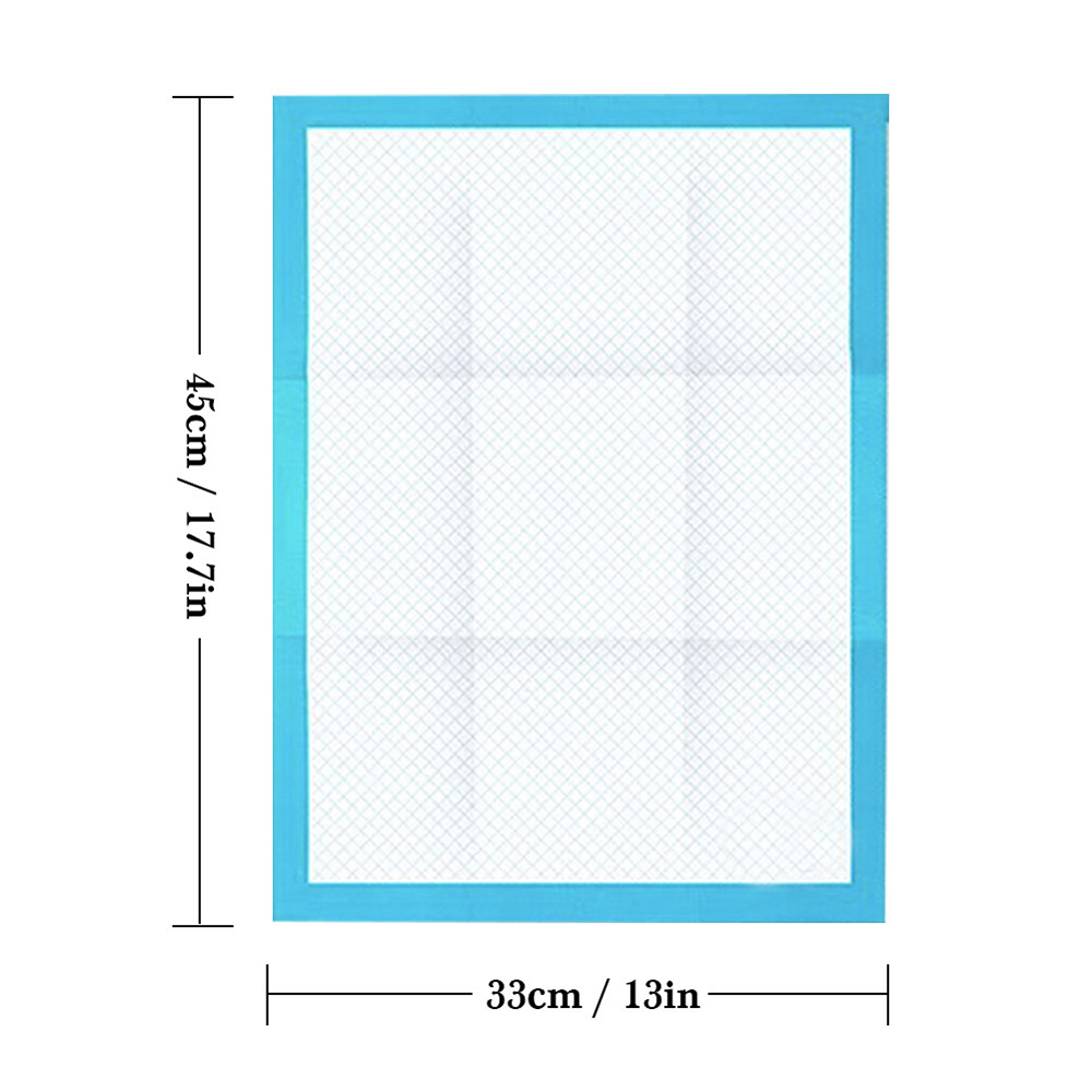 Training Pet Pee Pads (10 Pcs)