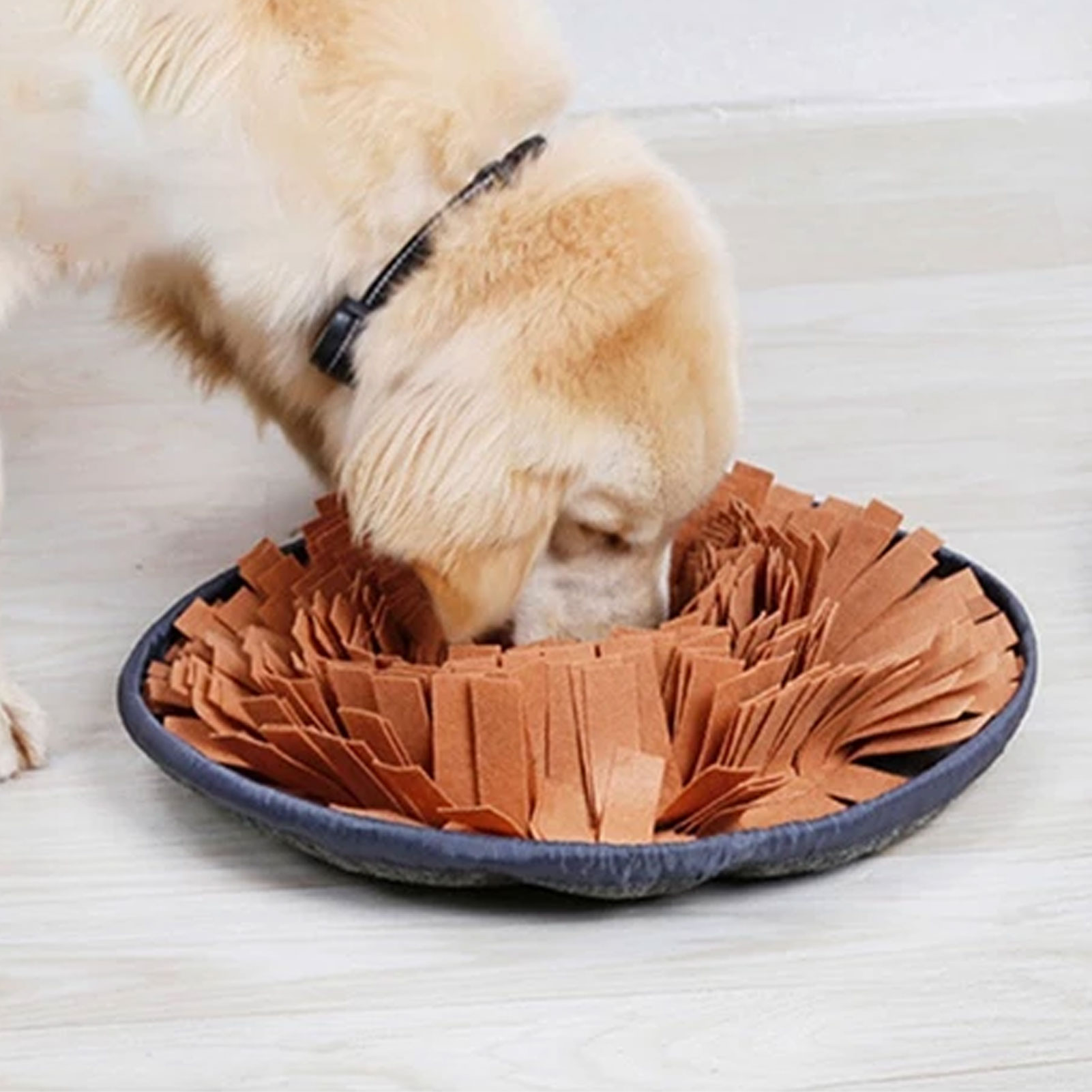 Training Snuffle Mat for Dog Training Snuffle Mat for Dog