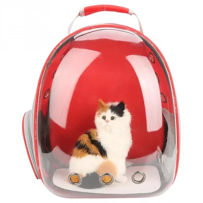 Transparent Breathable Cat Backpack Transparent Breathable Cat Backpack