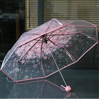 Transparent Cherry Blossom Umbrella Transparent Cherry Blossom Umbrella