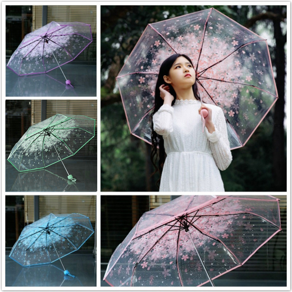 Transparent Cherry Blossom Umbrella Transparent Cherry Blossom Umbrella