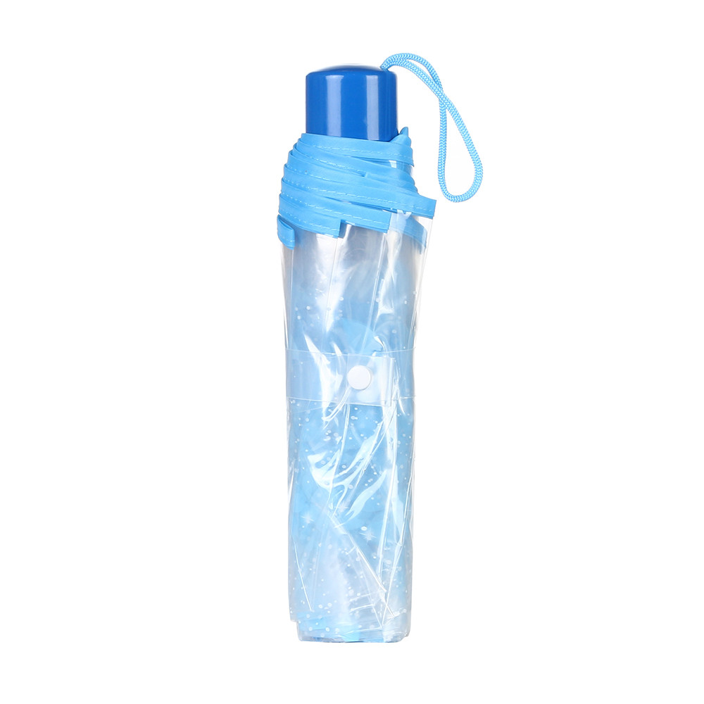 Transparent Cherry Blossom Umbrella Transparent Cherry Blossom Umbrella