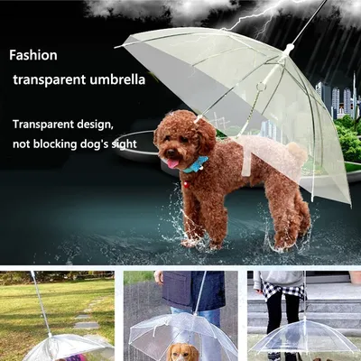 Transparent Dog Umbrella Leash Transparent Dog Umbrella Leash