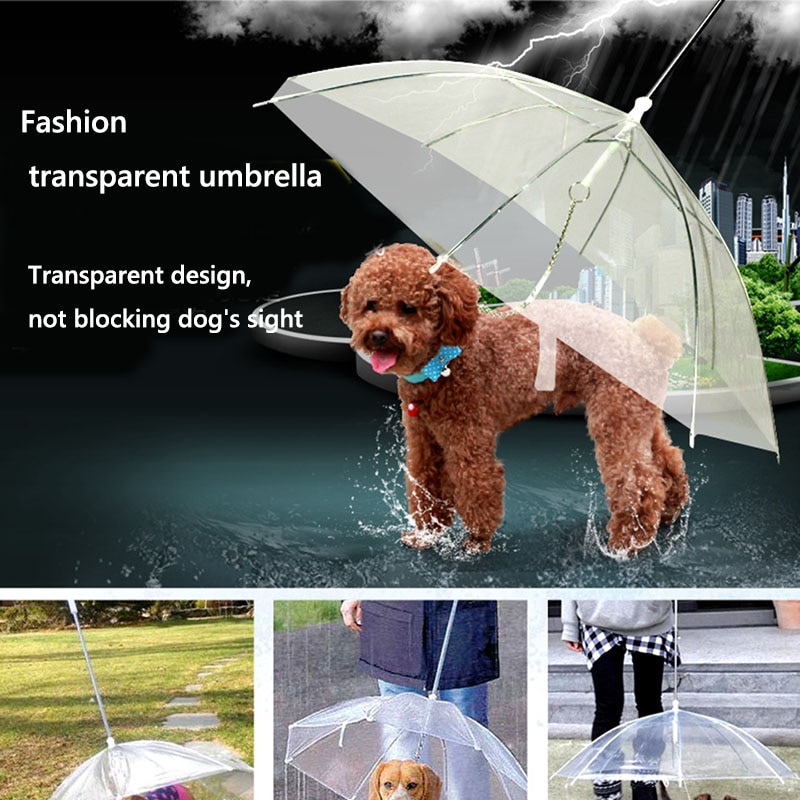 Transparent Dog Umbrella Leash