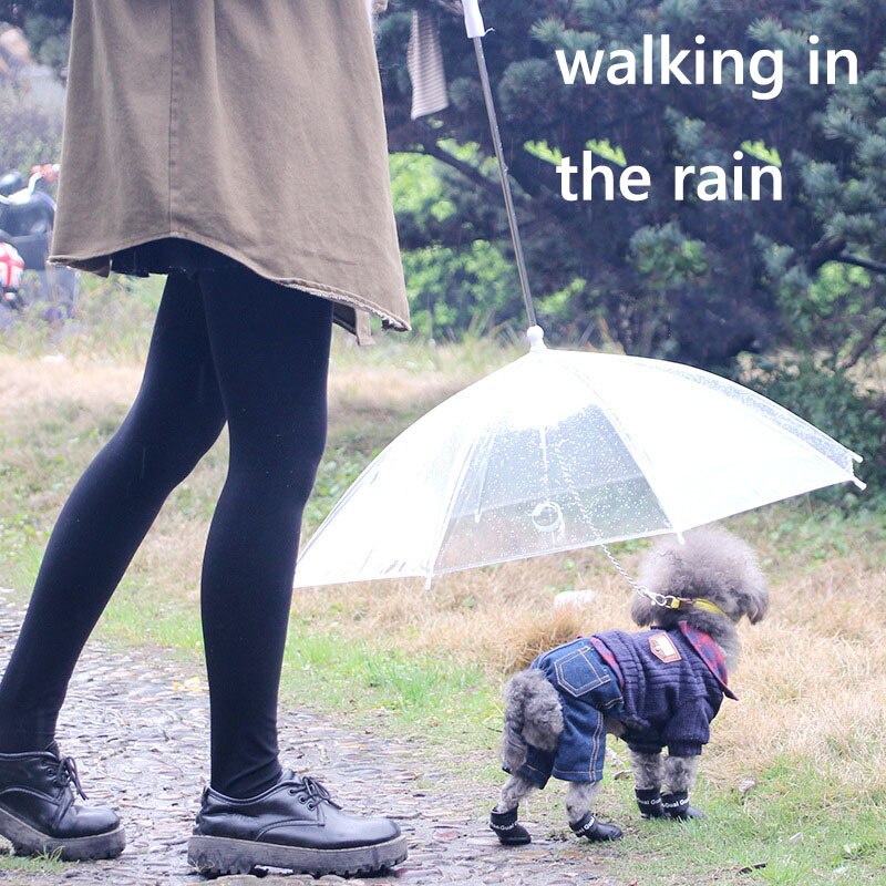 Transparent Dog Umbrella Leash Transparent Dog Umbrella Leash